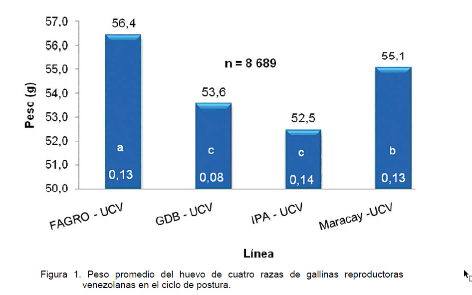 peso promedio del huevo en cuatro razas de gallinas