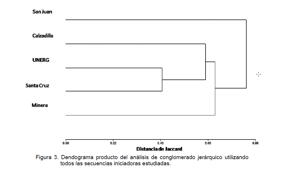 Dendrograma relación de cebadores