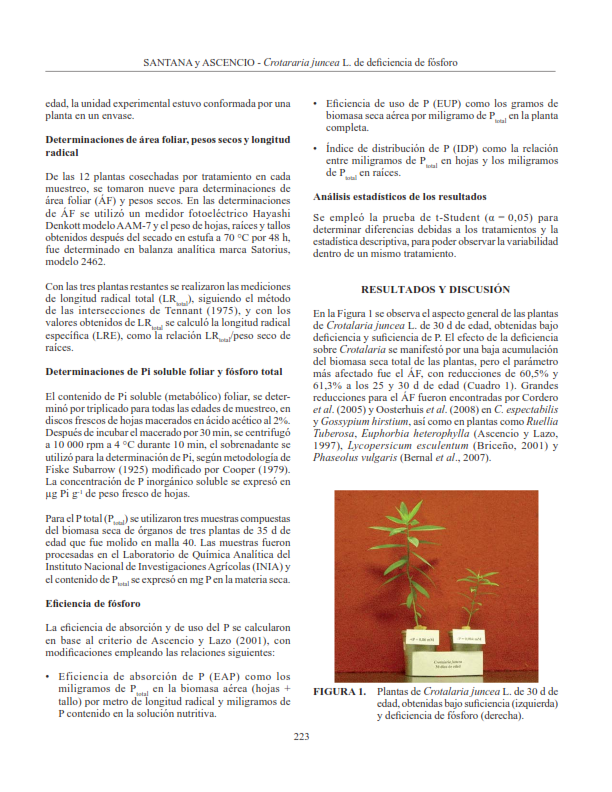 Imagen de portada