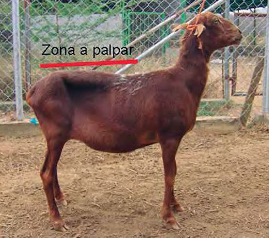 Imagen de portada